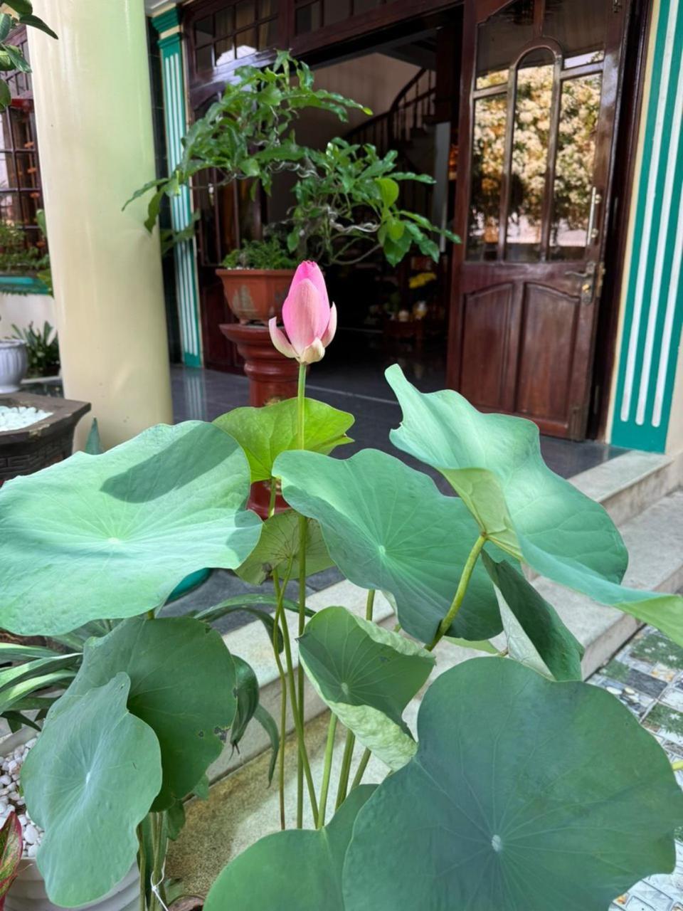 Noel Homestay 绥和市 外观 照片